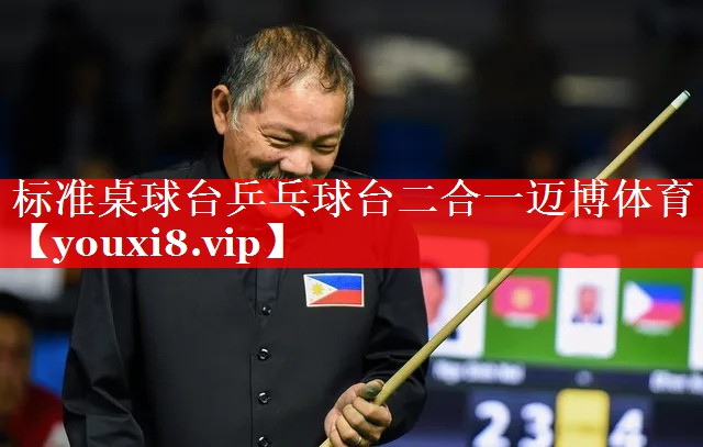 标准桌球台乒乓球台二合一迈博体育