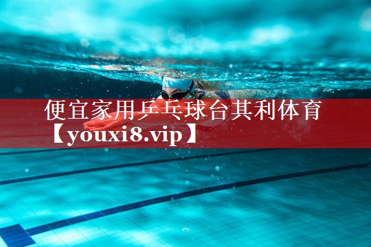 便宜家用乒乓球台其利体育