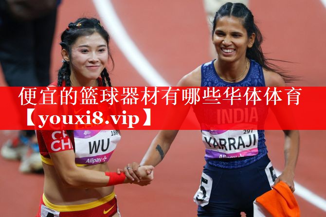 便宜的篮球器材有哪些华体体育