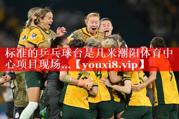 标准的乒乓球台是几米潮阳体育中心项目现场…