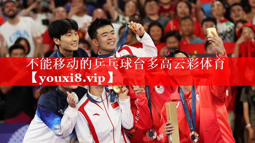 不能移动的乒乓球台多高云彩体育