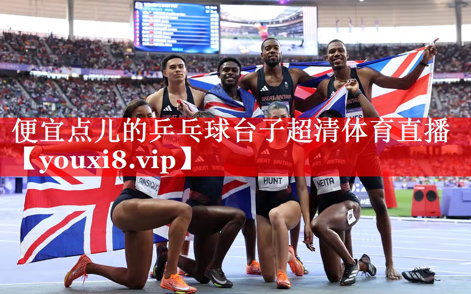 便宜点儿的乒乓球台子超清体育直播