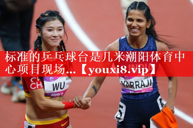 标准的乒乓球台是几米潮阳体育中心项目现场…