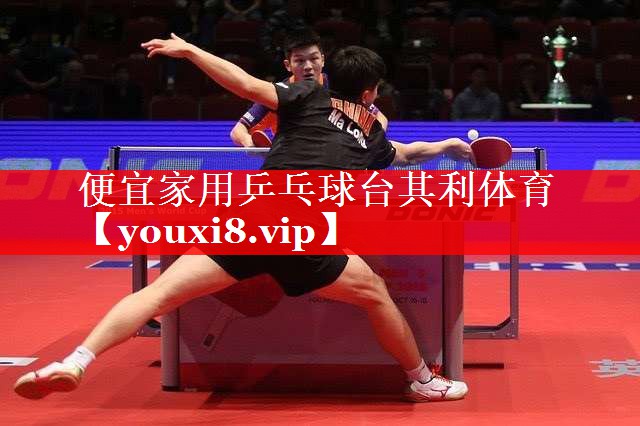 便宜家用乒乓球台其利体育