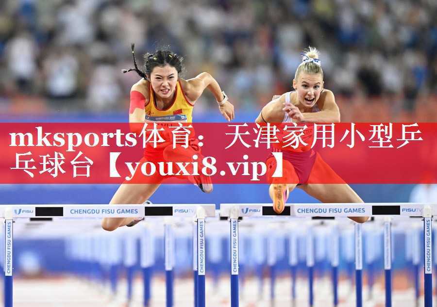 天津家用小型乒乓球台 天津家用小型乒乓球台
